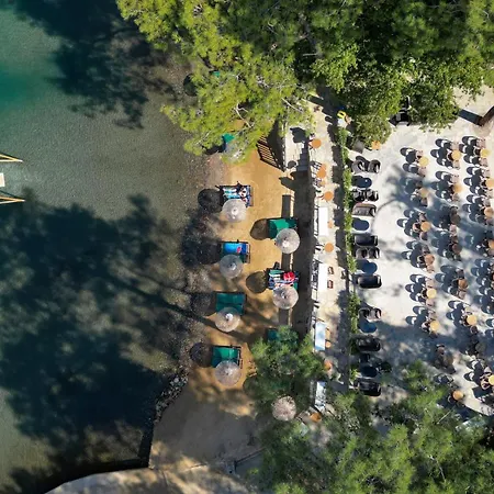 Bay 5*