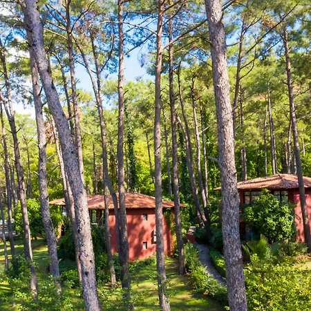 Bay Szálloda 5*